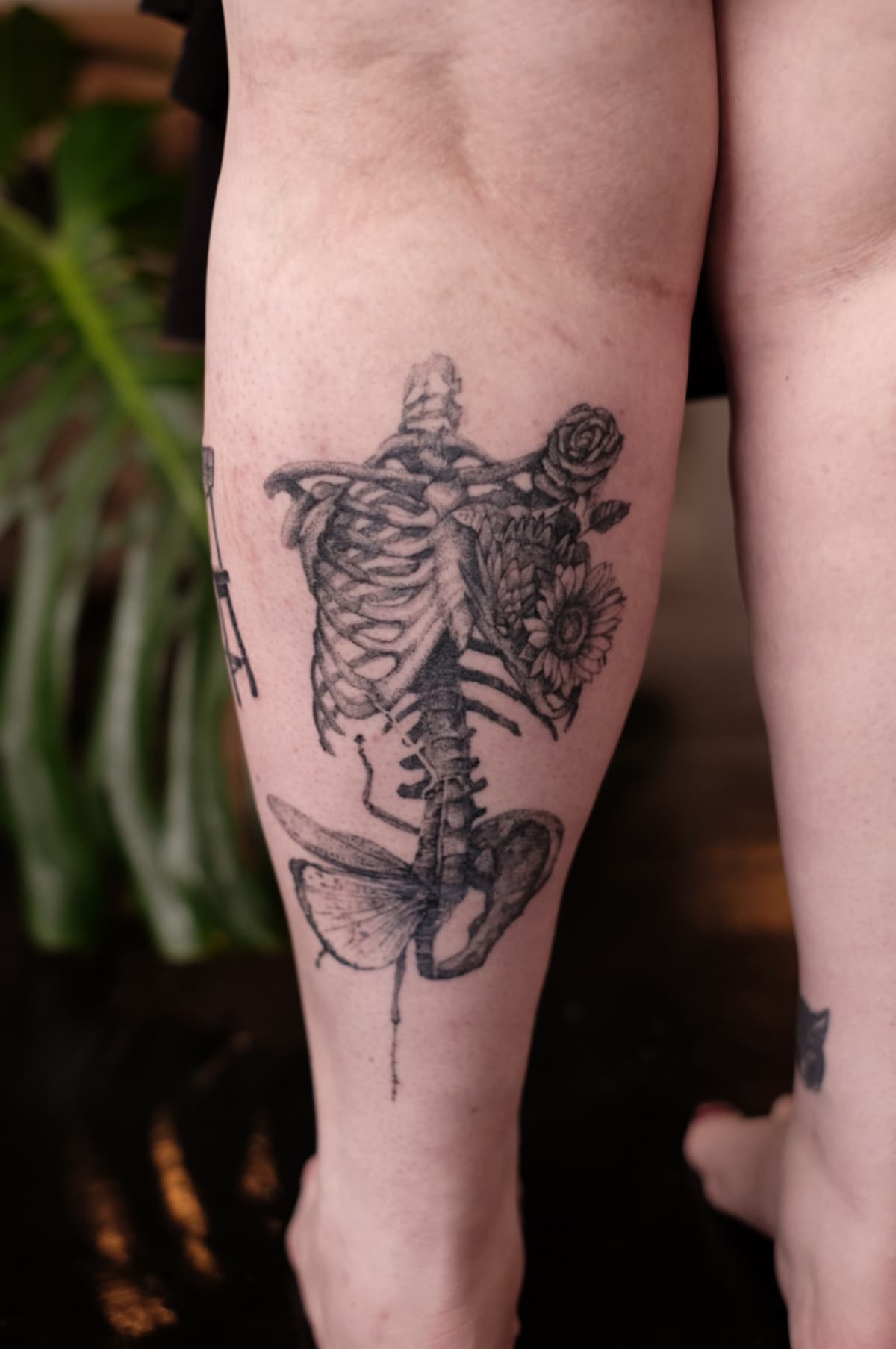 Healed skeleton calf