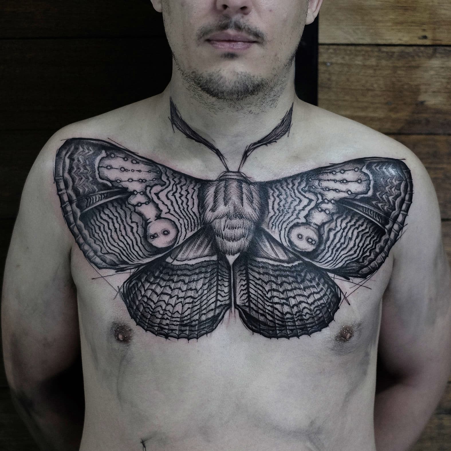 Brahma moth chest piece