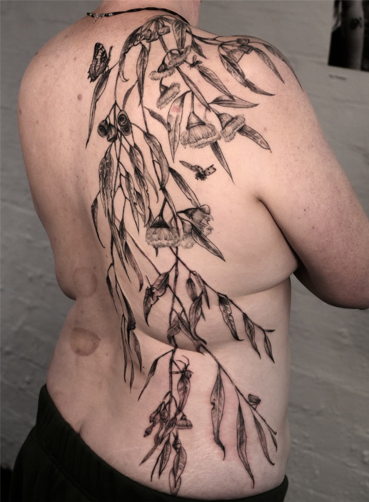 Silver princess back piece