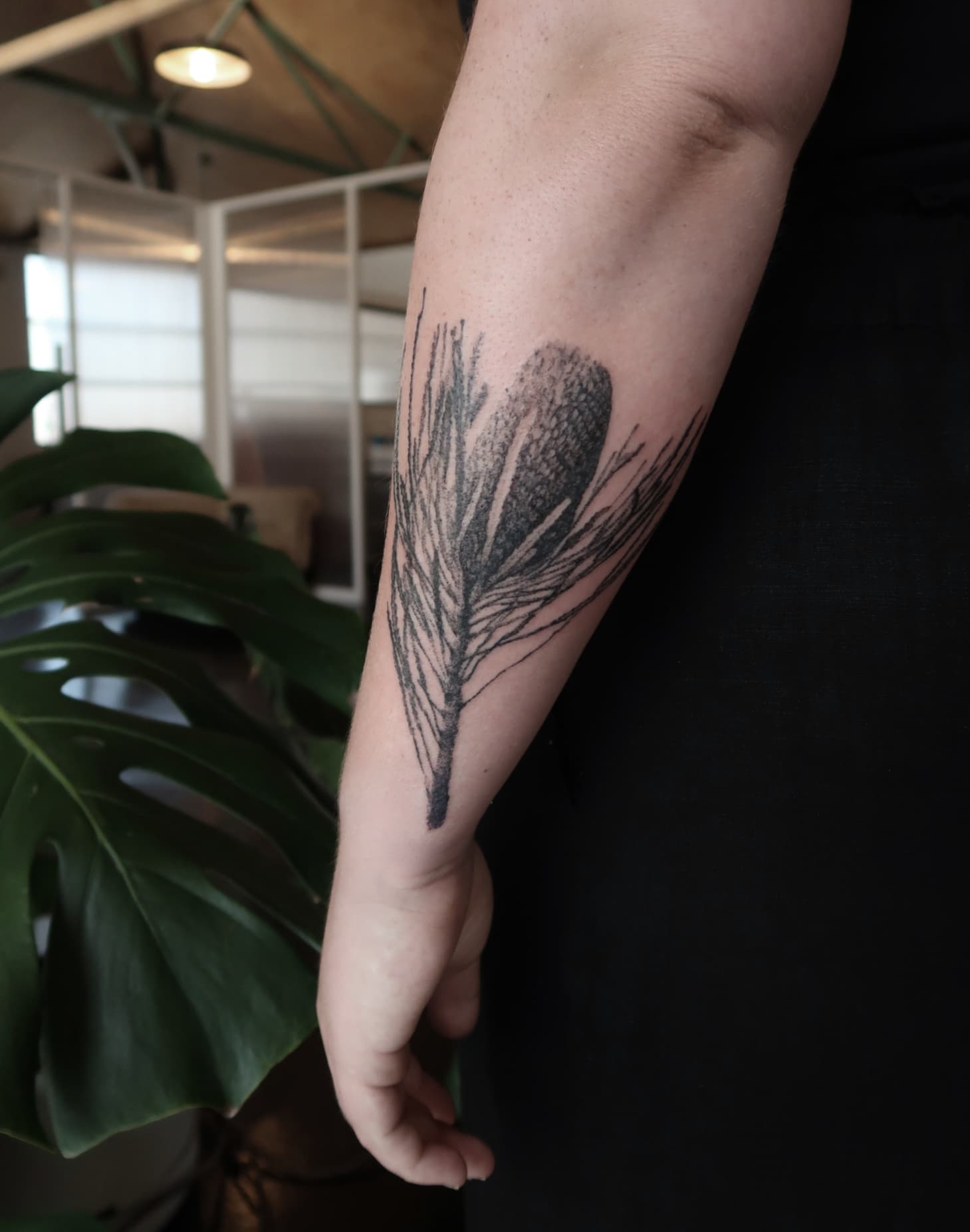 Banksia forearm