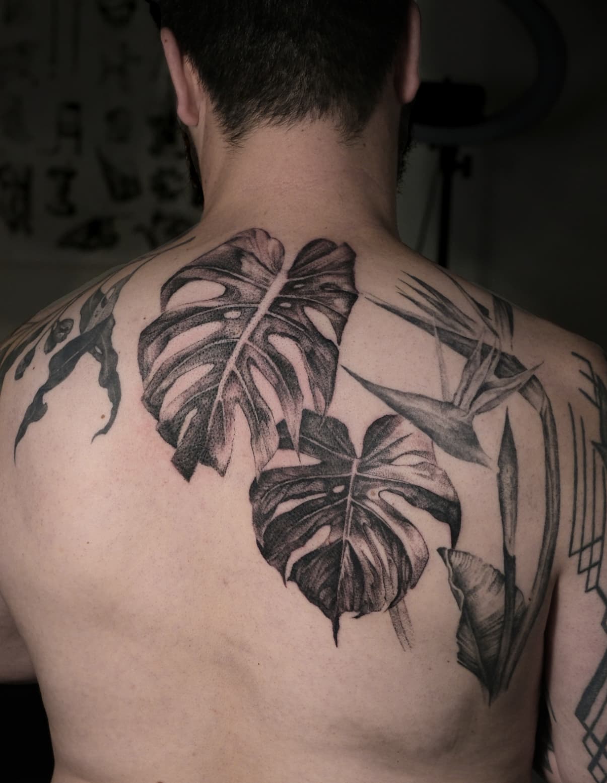 Monstera back piece