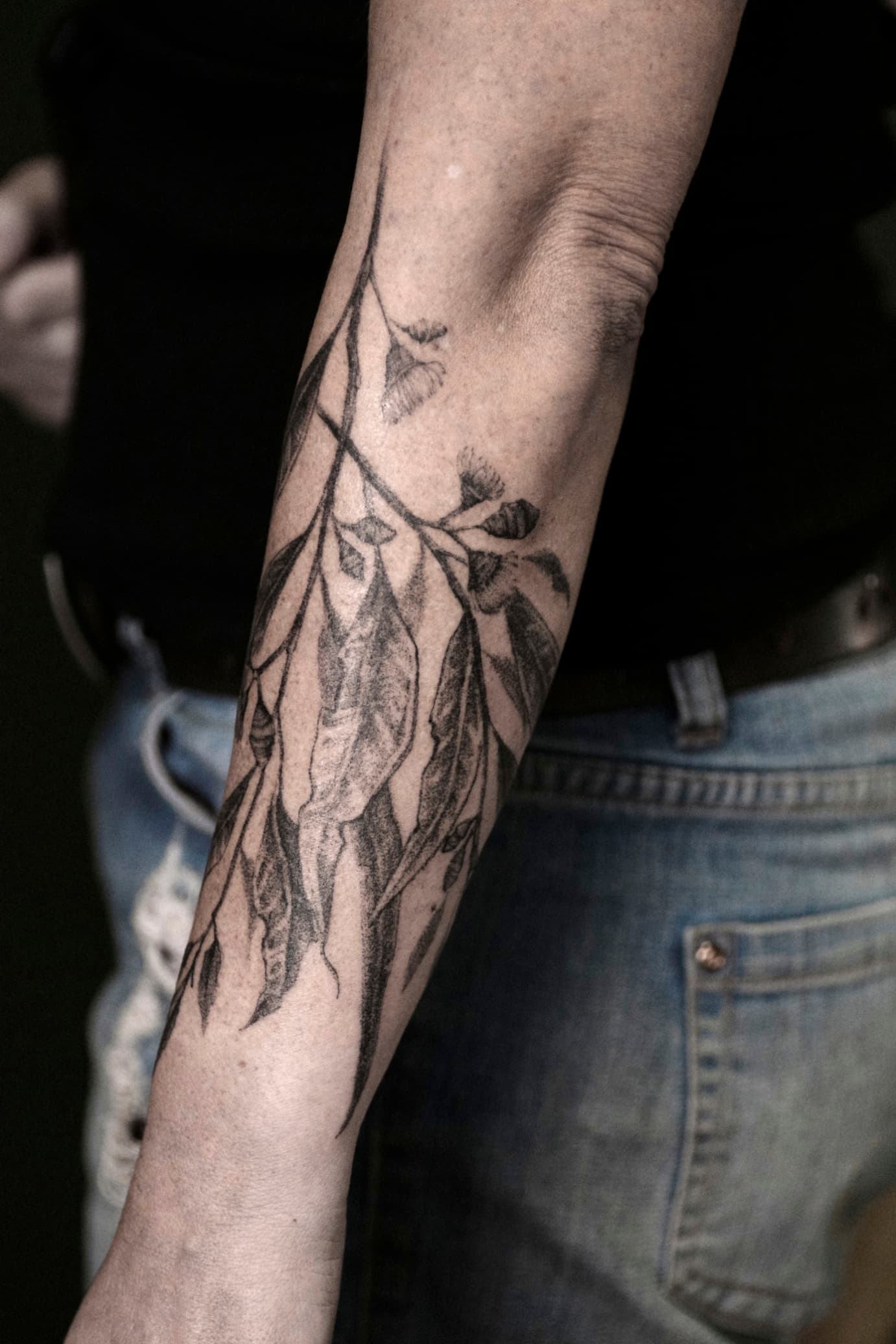 Gum tree forearm