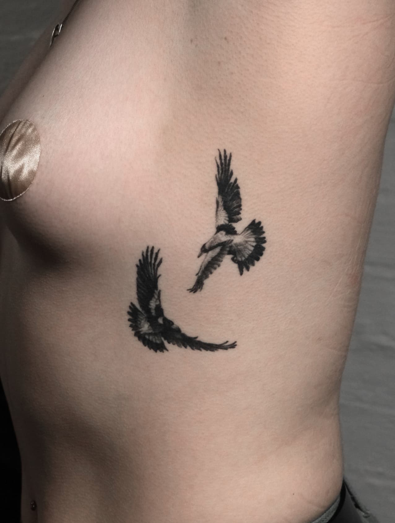 Healed magpies rib tattoo
